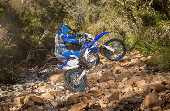 Yamaha WR450F 2019 - Bild 2