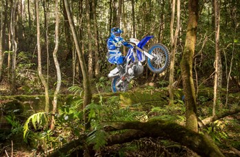 Yamaha WR450F 2019 - Bild 3