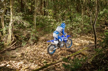 Yamaha WR450F 2019 - Bild 4
