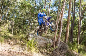 Yamaha WR450F 2019 - Bild 11