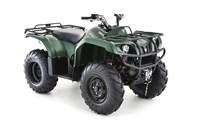 Yamaha Grizzly 350 2019 - Bild 4