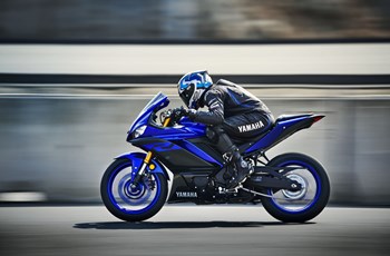 Yamaha R3 2019 - Bild 5 Yamaha R3 2019 - Bild 5