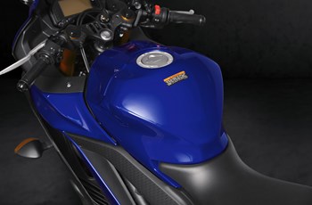 Yamaha R3 2019 - Bild 17 Yamaha R3 2019 - Bild 17