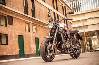 Yamaha XSR900 2019 - Bild 3 Yamaha XSR900 2019 - Bild 3