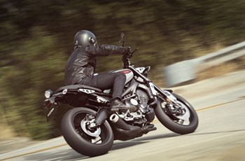 Yamaha XSR900 2019 - Bild 6 Yamaha XSR900 2019 - Bild 6