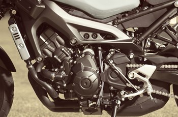 Yamaha XSR900 2019 - Bild 9 Yamaha XSR900 2019 - Bild 9