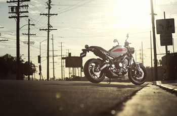 Yamaha XSR900 2019 - Bild 14 Yamaha XSR900 2019 - Bild 14