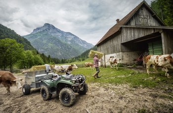 Yamaha Kodiak 700 2019 - Bild 6