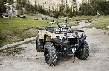 Yamaha Kodiak 450 2019 - Bild 17