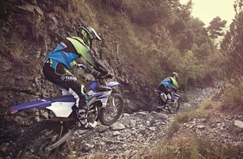 Yamaha WR250F 2019 - Bild 12