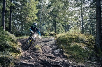 Husqvarna TE 300i 2019 - Bild 6 Husqvarna TE 300i 2019 - Bild 6