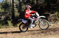 Rieju MRT Cross 125 2019 - Bild 7 Rieju MRT Cross 125 2019 - Bild 7