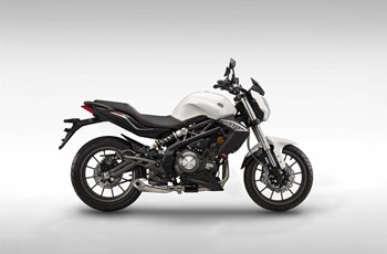 Benelli BN 302 2019 - Bild 42 Benelli BN 302 2019 - Bild 42