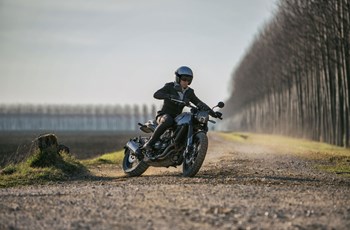 Benelli Leoncino 500 2019 - Bild 20 Benelli Leoncino 500 2019 - Bild 20