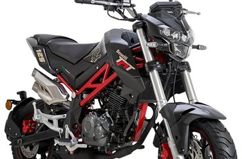 Benelli TnT 125 2019 - Bild 5 Benelli TnT 125 2019 - Bild 5