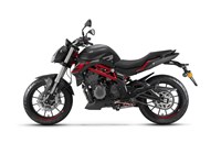 Benelli 302 S 2019 - Bild 11
