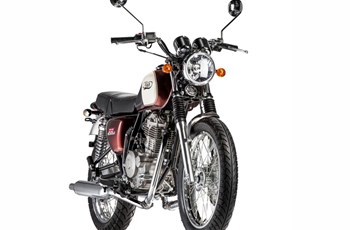 Mash Five Hundred 2019 - Bild 3