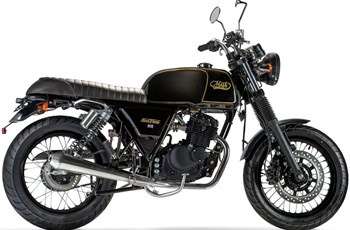 Mash Black Seven 2019 - Bild 2 Mash Black Seven 2019 - Bild 2