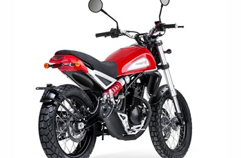 Mash Falcone 125 2019 - Bild 8 Mash Falcone 125 2019 - Bild 8