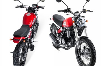 Mash Falcone 125 2019 - Bild 12 Mash Falcone 125 2019 - Bild 12