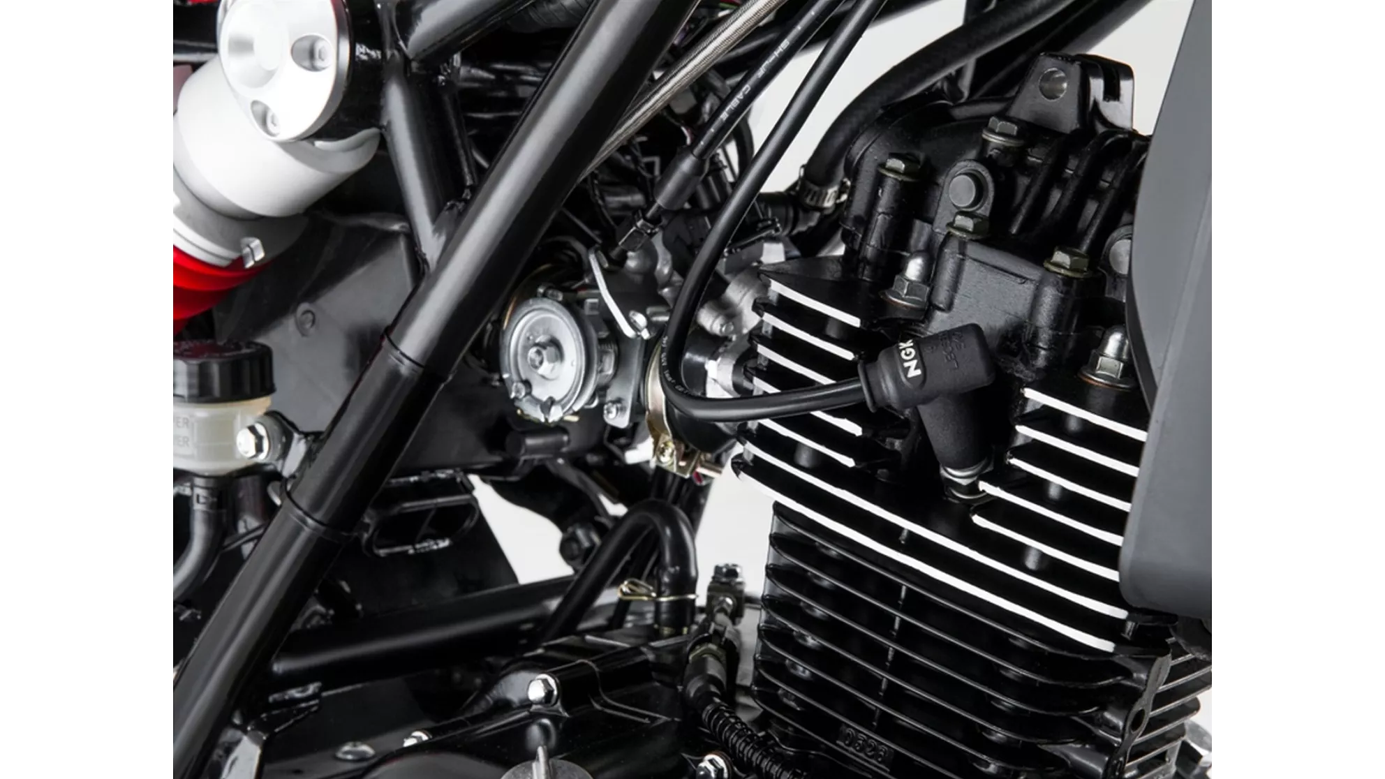 Mash Falcone 125 - Image 14 Mash Falcone 125 - Image 14