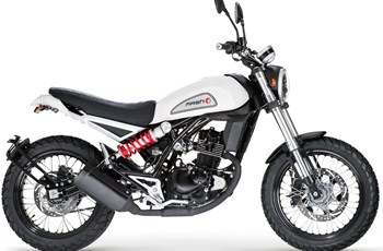 Mash Falcone 125 2019 - Bild 21 Mash Falcone 125 2019 - Bild 21