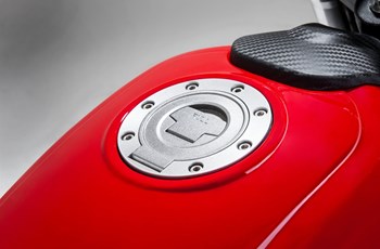 Mash Falcone 125 2019 - Bild 18 Mash Falcone 125 2019 - Bild 18