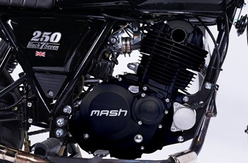 Mash Black Seven 250 2019 - Bild 7