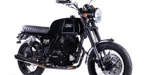 Mash Seventy Five 2019 vs Mash Black Seven 250 2019