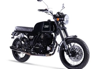 Mash Black Seven 250 2019 - Bild 2