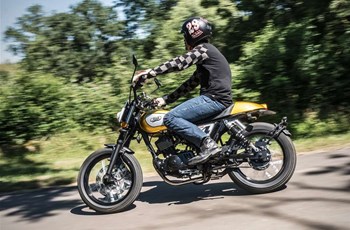 Mash Dirt Track 250 2019 - Bild 5