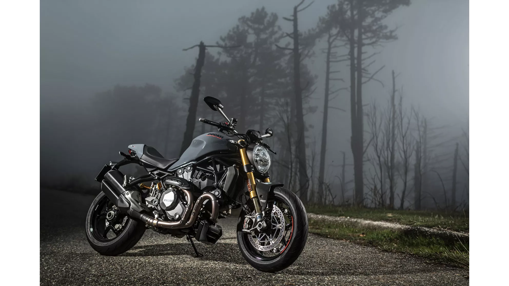 Ducati Monster 1200 S - Image 6 Ducati Monster 1200 S - Image 6