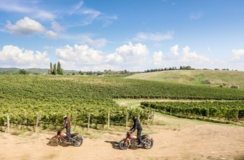 Ducati Scrambler Icon 2019 - Bild 13 Ducati Scrambler Icon 2019 - Bild 13