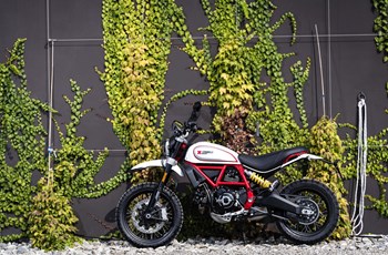 Ducati Scrambler Desert Sled 2019 - Bild 3 Ducati Scrambler Desert Sled 2019 - Bild 3