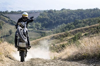Ducati Scrambler Desert Sled 2019 - Bild 6 Ducati Scrambler Desert Sled 2019 - Bild 6