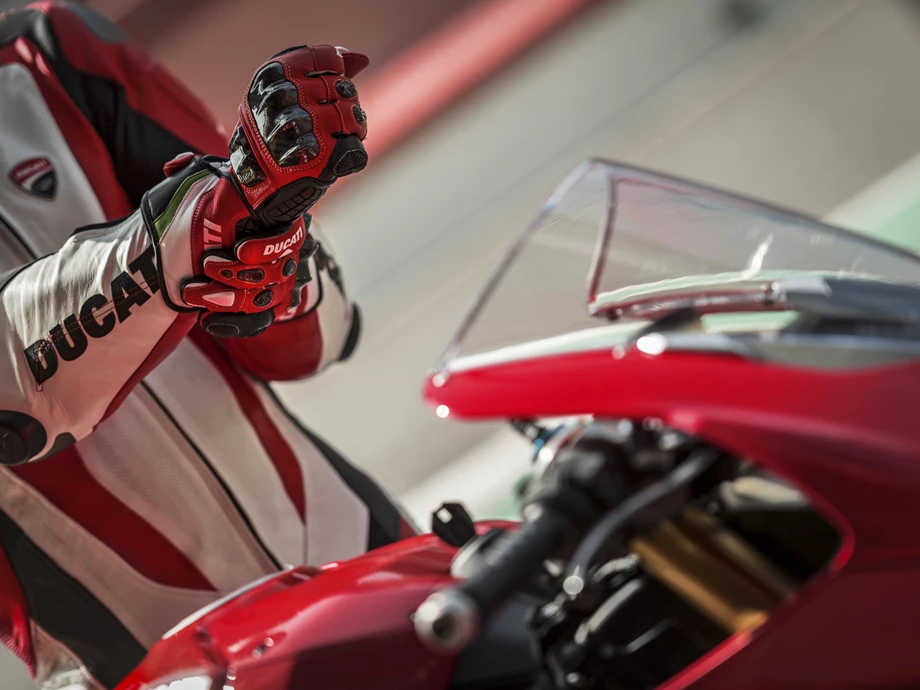 Ducati Panigale V4 S Bild 13: Ducati Panigale V4 S