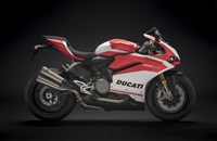 Ducati 959 Panigale Corse 2019 - Bild 1