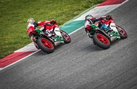 Ducati 1299 Panigale R Final Edition 2019 - Bild 8 Ducati 1299 Panigale R Final Edition 2019 - Bild 8
