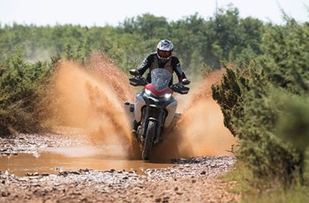 Ducati Multistrada 1260 Enduro 2019 - Bild 24 Ducati Multistrada 1260 Enduro 2019 - Bild 24