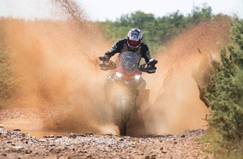 Ducati Multistrada 1260 Enduro 2019 - Bild 25 Ducati Multistrada 1260 Enduro 2019 - Bild 25