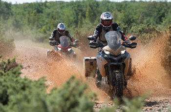 Ducati Multistrada 1260 Enduro 2019 - Bild 26 Ducati Multistrada 1260 Enduro 2019 - Bild 26