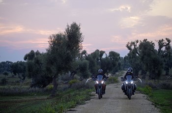 Ducati Multistrada 950 S 2019 - Bild 16 Ducati Multistrada 950 S 2019 - Bild 16