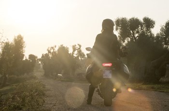 Ducati Multistrada 950 S 2019 - Bild 17 Ducati Multistrada 950 S 2019 - Bild 17