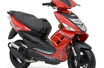 TGB Bull&t RR 2019 - Bild 2 TGB Bull&t RR 2019 - Bild 2