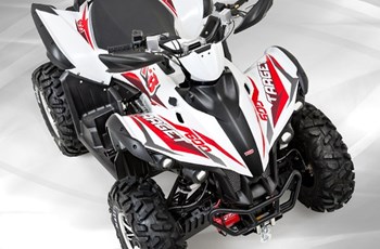 TGB Target 600 EFI 4x4 IRS 2019 - Bild 4