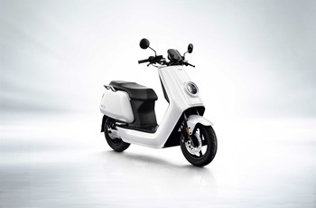 NIU N Serie 2019 - Bild 29 NIU N Serie 2019 - Bild 29