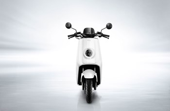 NIU N Serie 2019 - Bild 30 NIU N Serie 2019 - Bild 30