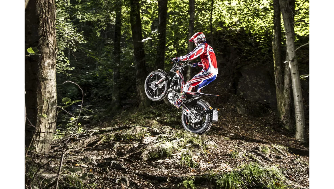 Beta Evo 300 4Takt 2019 Beta Evo 300 4Takt 2019