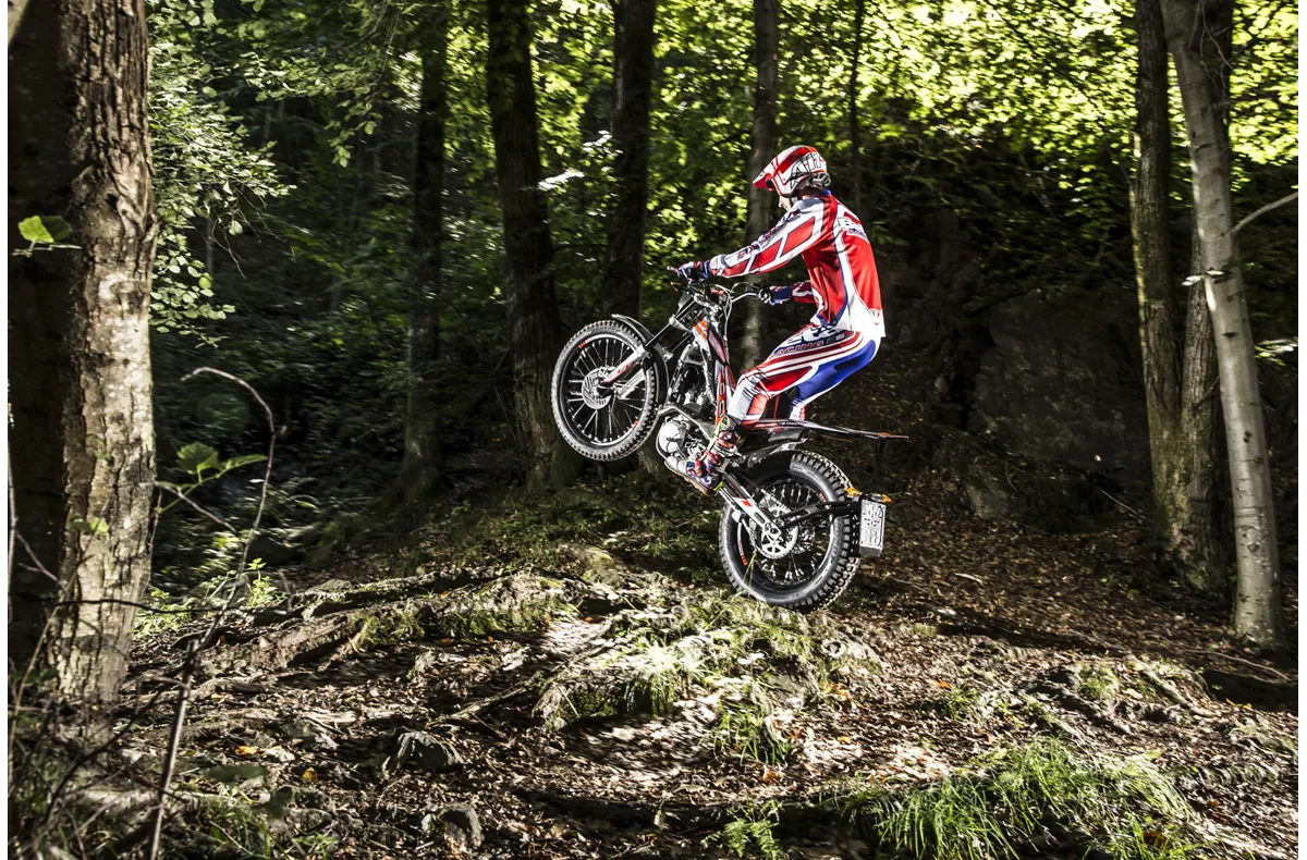 Beta Evo 300 4Takt Beta Evo 300 4Takt