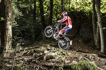 Beta Evo 300 4Takt 2019 - Bild 2